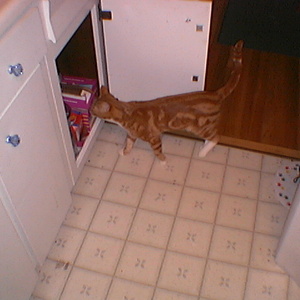 imga0242.jpg