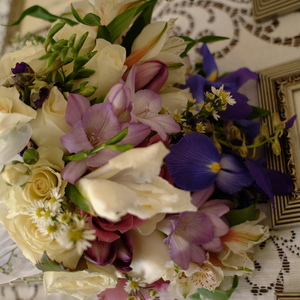 DSCF0014.jpg