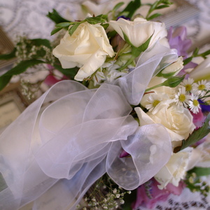DSCF0015.jpg