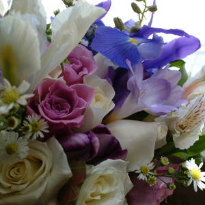 DSCF0016.jpg