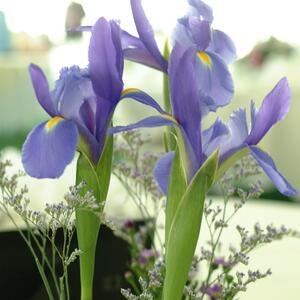 DSCF0098.jpg