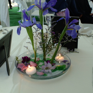DSCF0154.jpg