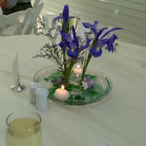 DSCF0155.jpg