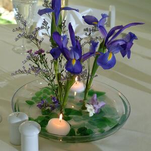 DSCF0157.jpg