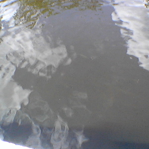 imga0261.jpg