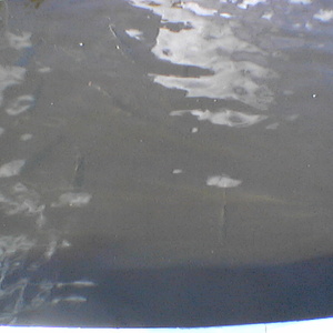 imga0262.jpg