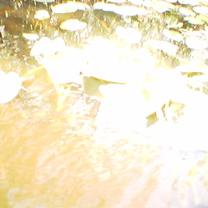 imga0265.jpg