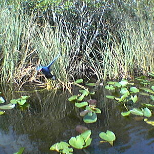 imga0272.jpg