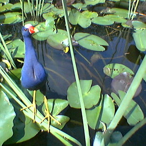 imga0280.jpg