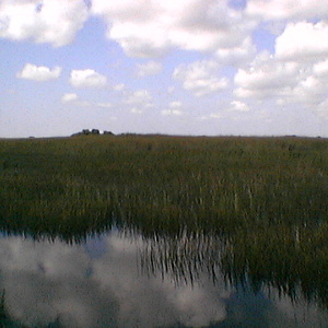 imga0286.jpg