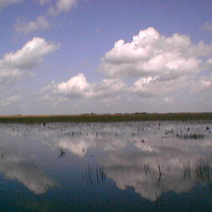 imga0287.jpg