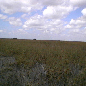 imga0288.jpg