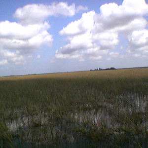 imga0289.jpg