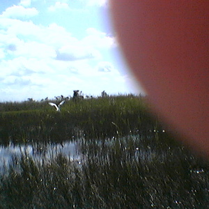 imga0293.jpg