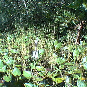 imga0296.jpg