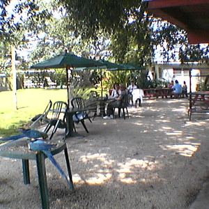 imga0303.jpg