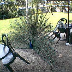 imga0304.jpg