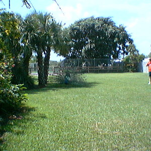 imga0305.jpg
