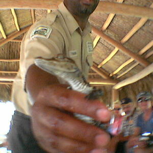 2003_Cruise