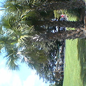 imga0312.jpg