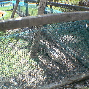 imga0313.jpg