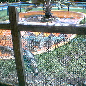 2003_Cruise