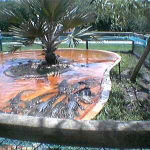 imga0315.jpg