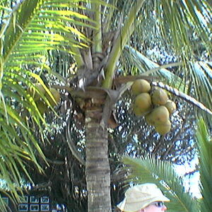 imga0320.jpg
