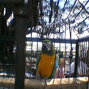 imga0325.jpg