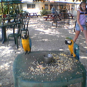 imga0326.jpg