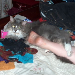 HPIM0089.jpg