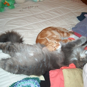 HPIM0123.jpg