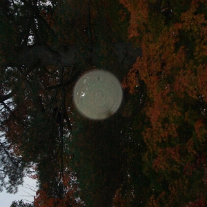 HPIM0353.JPG