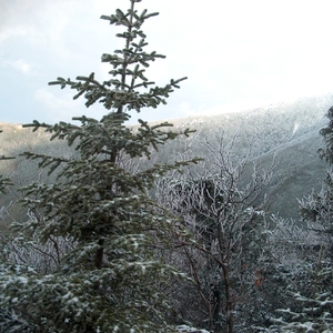 HPIM0364.JPG
