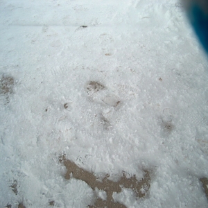 HPIM0371.JPG