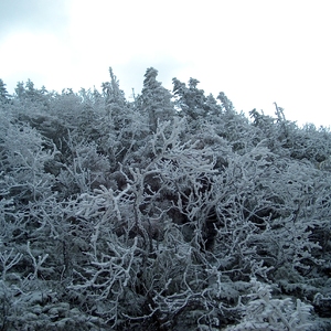HPIM0389.JPG