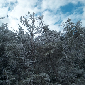 HPIM0390.JPG