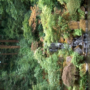HPIM0304.JPG