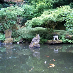 HPIM0305.JPG
