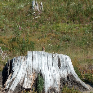hpim0252.jpg