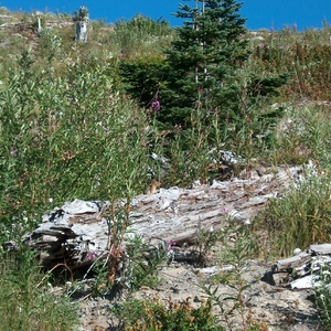2003_Oregon-Mt_St_Helens