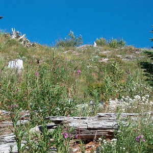 hpim0254.jpg