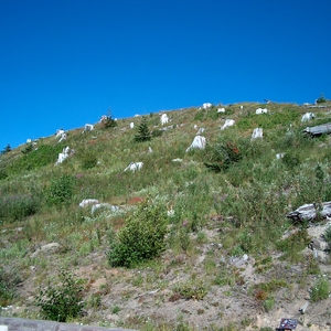 hpim0255.jpg