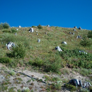 hpim0264.jpg