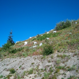 hpim0265.jpg