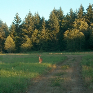 hpim0266.jpg