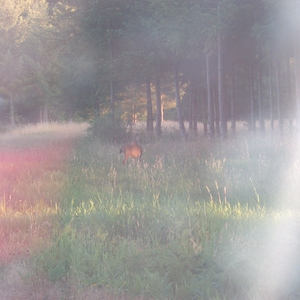 hpim0267.jpg