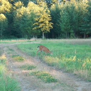 hpim0269.jpg