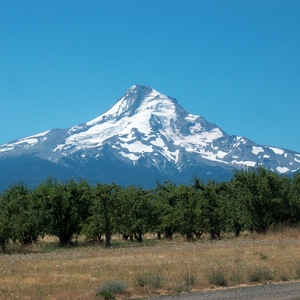 hpim0277.jpg