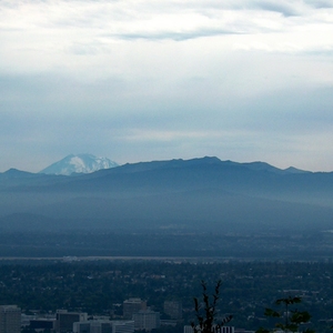 HPIM0296.jpg